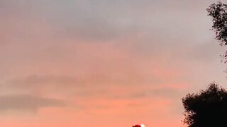 Nature video