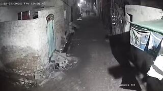 Funny boy at night