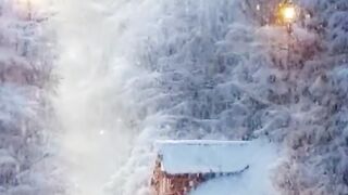 Beautiful view of nature 101