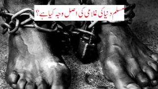 Pakistan and Education | Islamic world and Education | اسلامی دنیا تعلیم میں کہاں کھڑی ہے؟