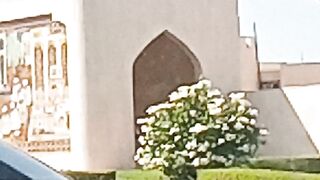 Oman muscat