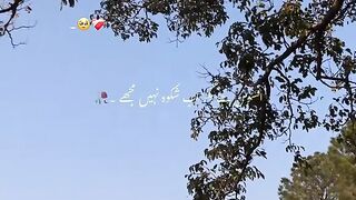 Sad lines ????