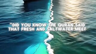 The Barrier between two Occasions And the Reason in the light of Qur'an