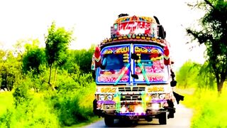 Bus bus bus