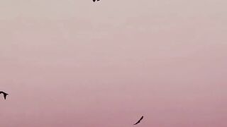 Poetry