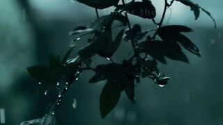 Rain day