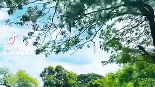 Beautiful nature ????