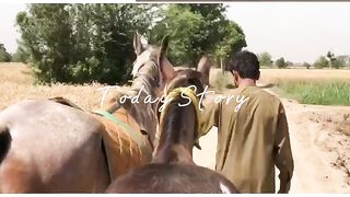 Horse riding????