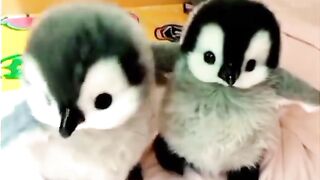 Mention. Your cute friend????