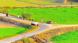 beautyfull place nature villge vew online earning ap
