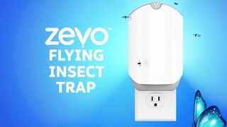 Goodbye Bugs, Hello Clean Spaces!