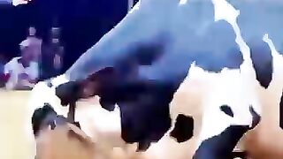 Aggressive_bull
