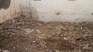 Makan hai
