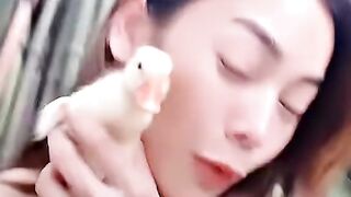 Sweet pets viral pets love