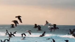 Твоё время — сейчас ????