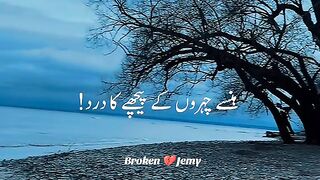 ہستے چہروں کے