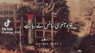 Gaza wale