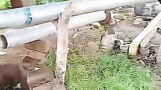 Video funny ????