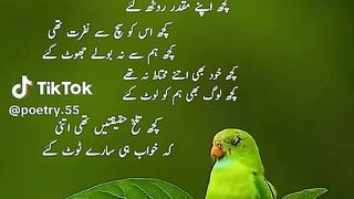 ????????????کچھ خود بھی تھے افسردہ سے
