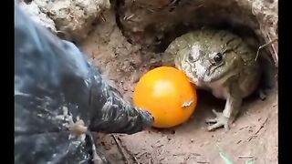 Funny reels funny reels funny video funny video funny reels