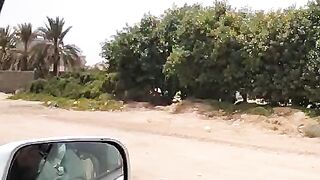 Nice video