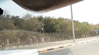 Tree video