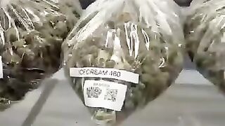 Telegram @Tony_pluge Weed coke in Liverpool