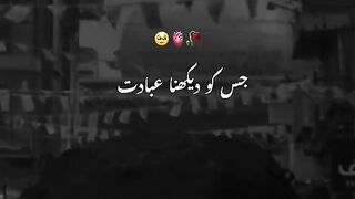 مولا علی شیر خدا