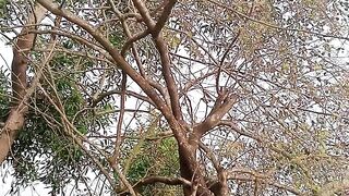A new video from my area#