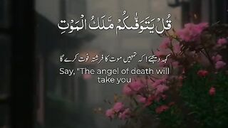 Alquran recitation ????