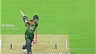 Cricket fans