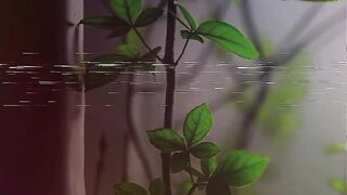সব অজুহাত মিথ্যে।