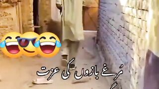 Enjoy