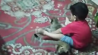 Cat love