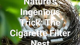 Seriously surprised to know this information.#viral #information