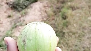 Fresh vegetables village video