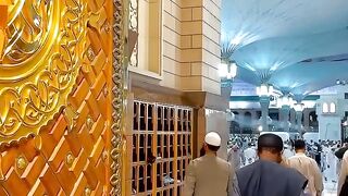کا سکون، روح کی تازگی — مدینہ منورہ کی یہ حسین جھلکیاں آپ کے ایمان کو