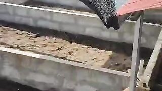 Pertanyaan konyol, pake pondasi gak, pake besi gak❓Kalau gak pake pondasi dan besi slup ya JEBOL