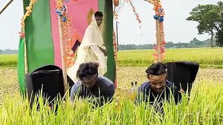 Bangla funny dance rice cut ????
