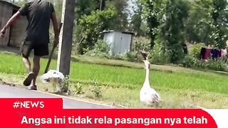 Berita Indonesia
