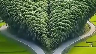 Beautiful_natural_views