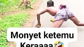 People vs monkey
