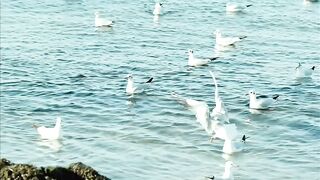 Beautiful sea view