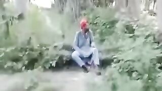 Entertainment