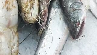 Fish head soup and vegetables