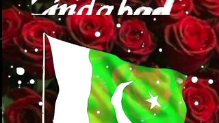 Pakistan Zindagi