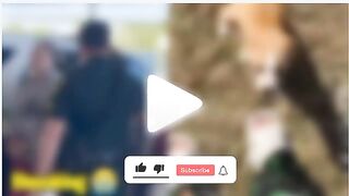 ORIGINAL++ logan guminski video logan guminski dog video logan guminski twitter