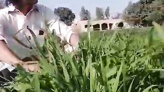 Very nice video
