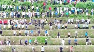 Chicken Catching ???? Festival