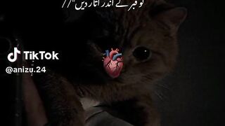 When hadiqa Khan wrote in ishq